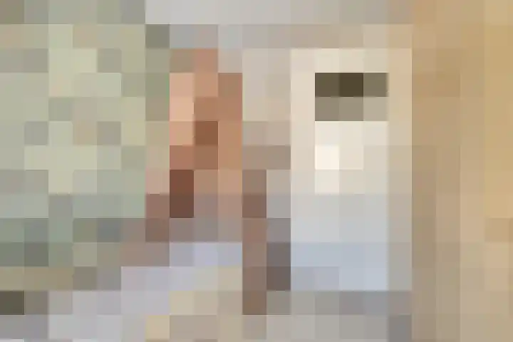 Heimond 27 De Lier thumbnail 24