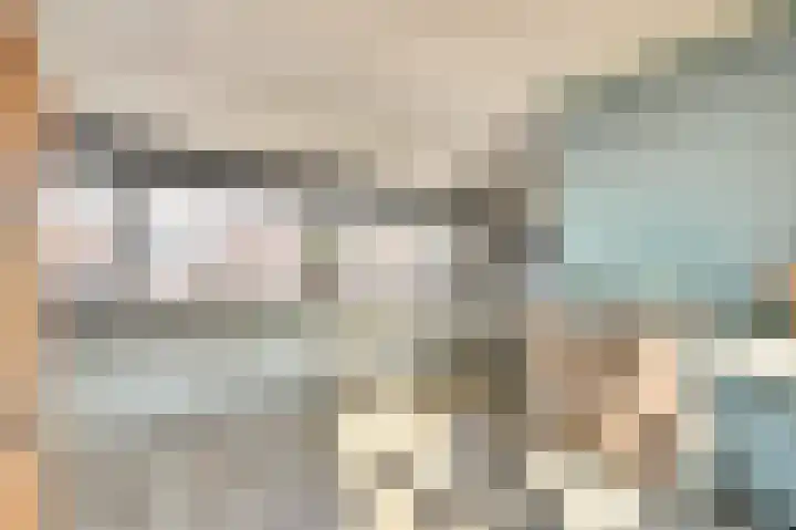 Heimond 27 De Lier thumbnail 28