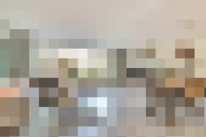 Heimond 27 De Lier thumbnail 4