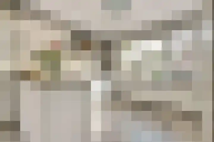 Heimond 27 De Lier thumbnail 5