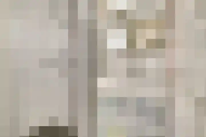 Heimond 27 De Lier thumbnail 6