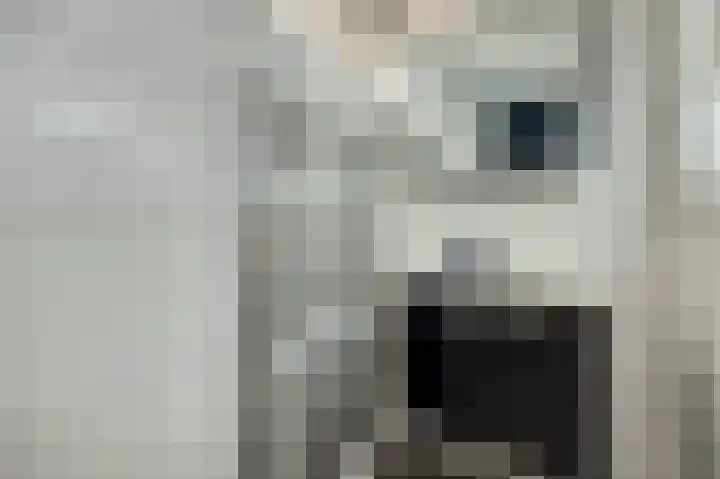 Heimond 29 De Lier thumbnail 29