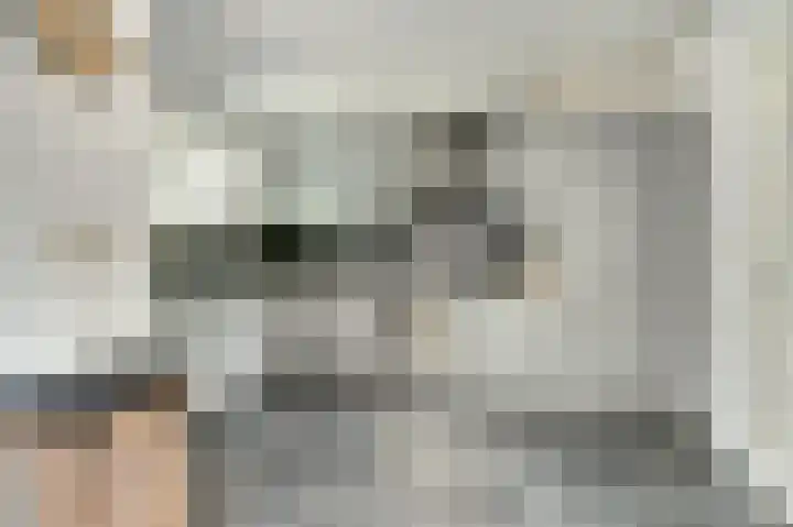 Heimond 29 De Lier thumbnail 5