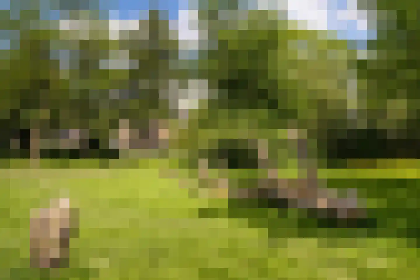 Heindijk 294 Rotterdam thumbnail 34