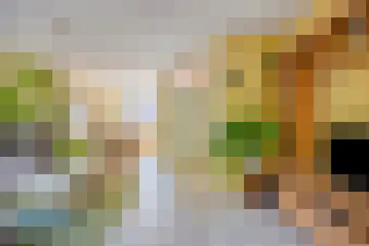 Heinoord 20 Breda thumbnail 12