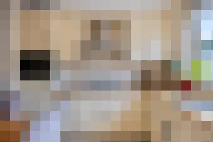 Heinoord 20 Breda thumbnail 14