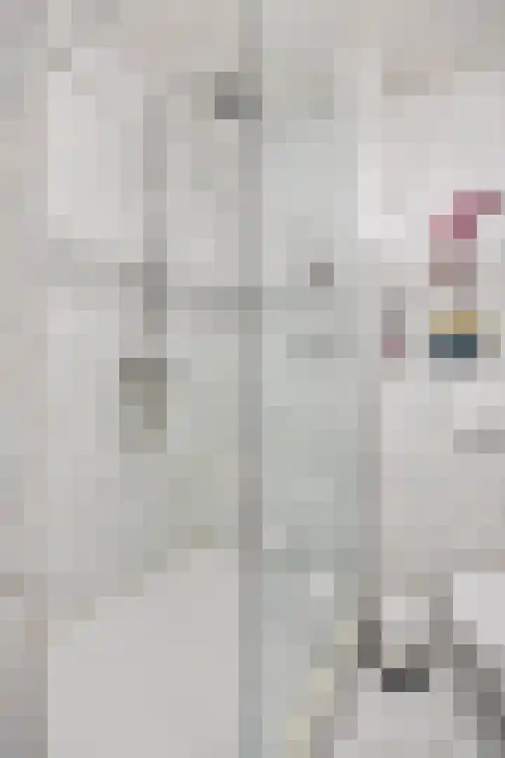 Heinoord 20 Breda thumbnail 22