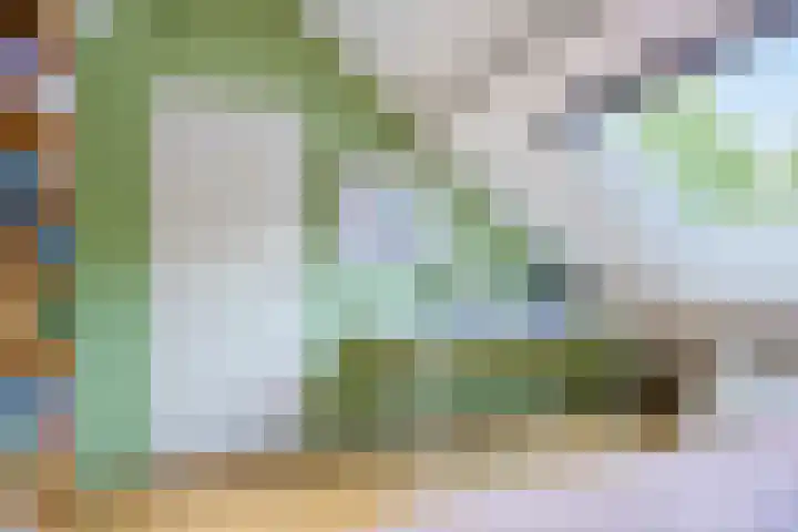 Heinoord 20 Breda thumbnail 28