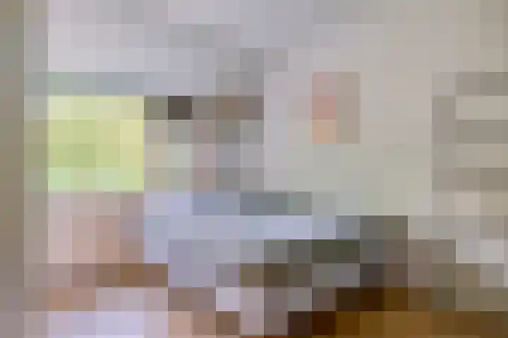 Heinoord 20 Breda thumbnail 4