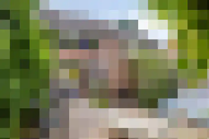 Heinoord 20 Breda thumbnail 5