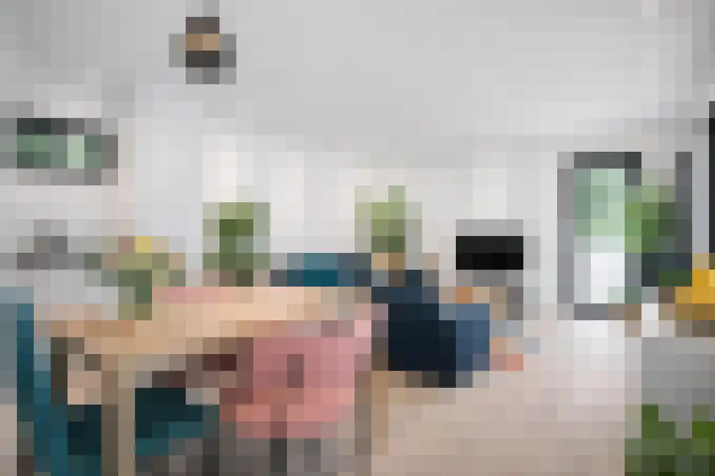 Heinoseweg 33 Dalfsen thumbnail 10