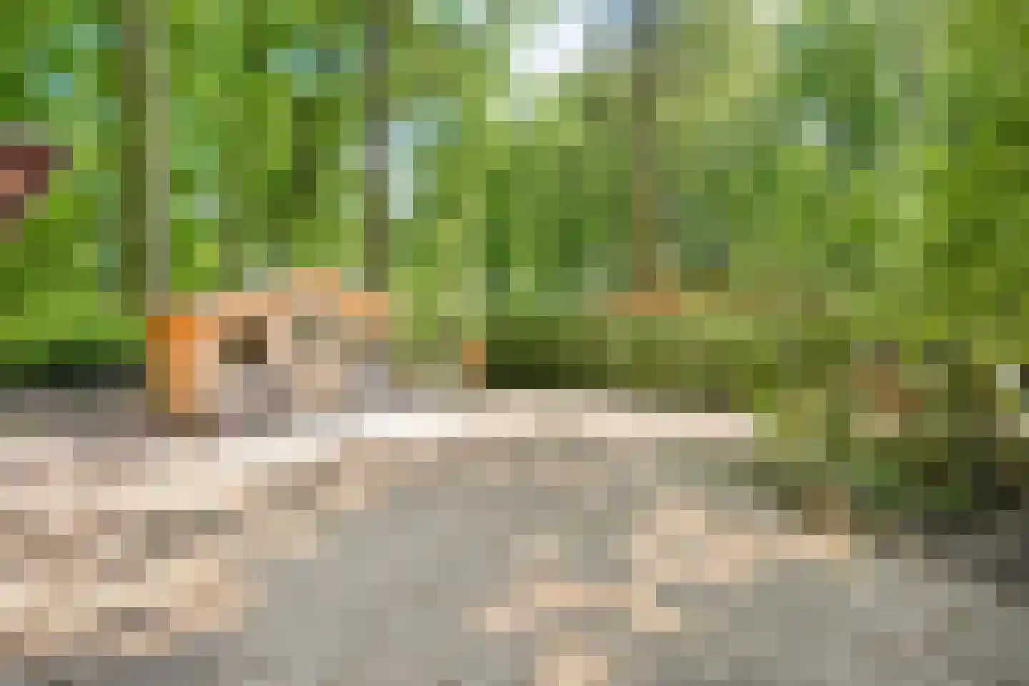 Heinoseweg 33 Dalfsen thumbnail 18