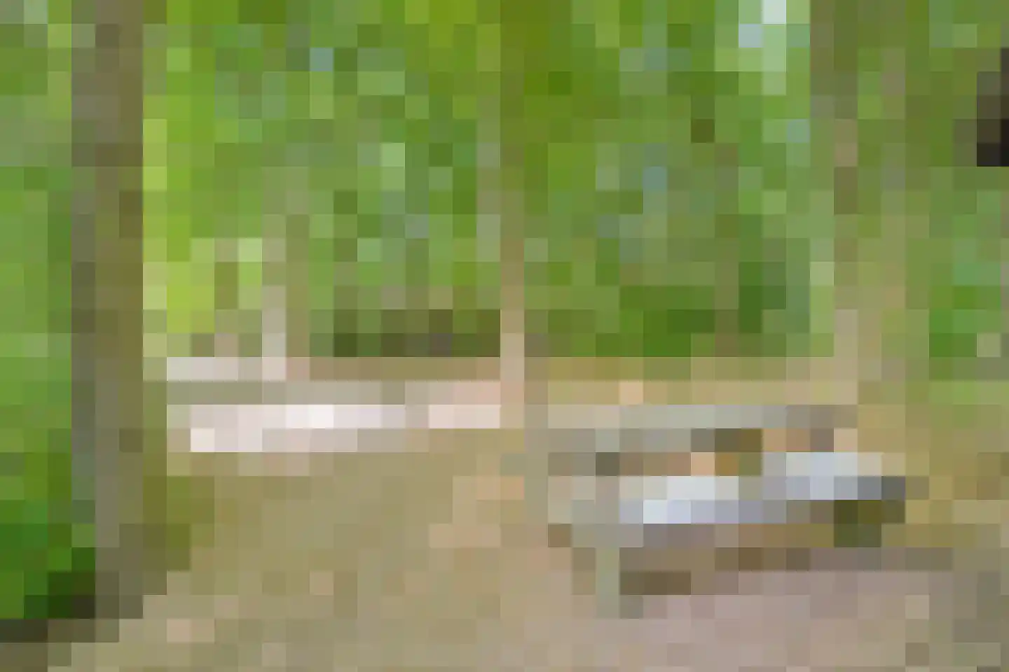 Heinoseweg 33 Dalfsen thumbnail 20