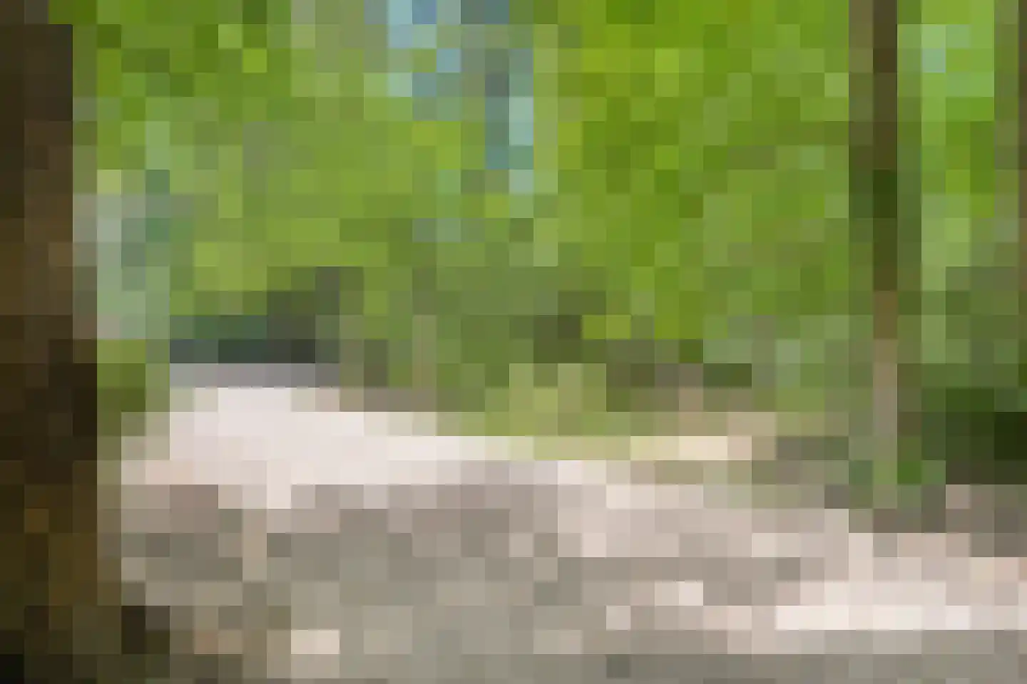 Heinoseweg 33 Dalfsen thumbnail 21