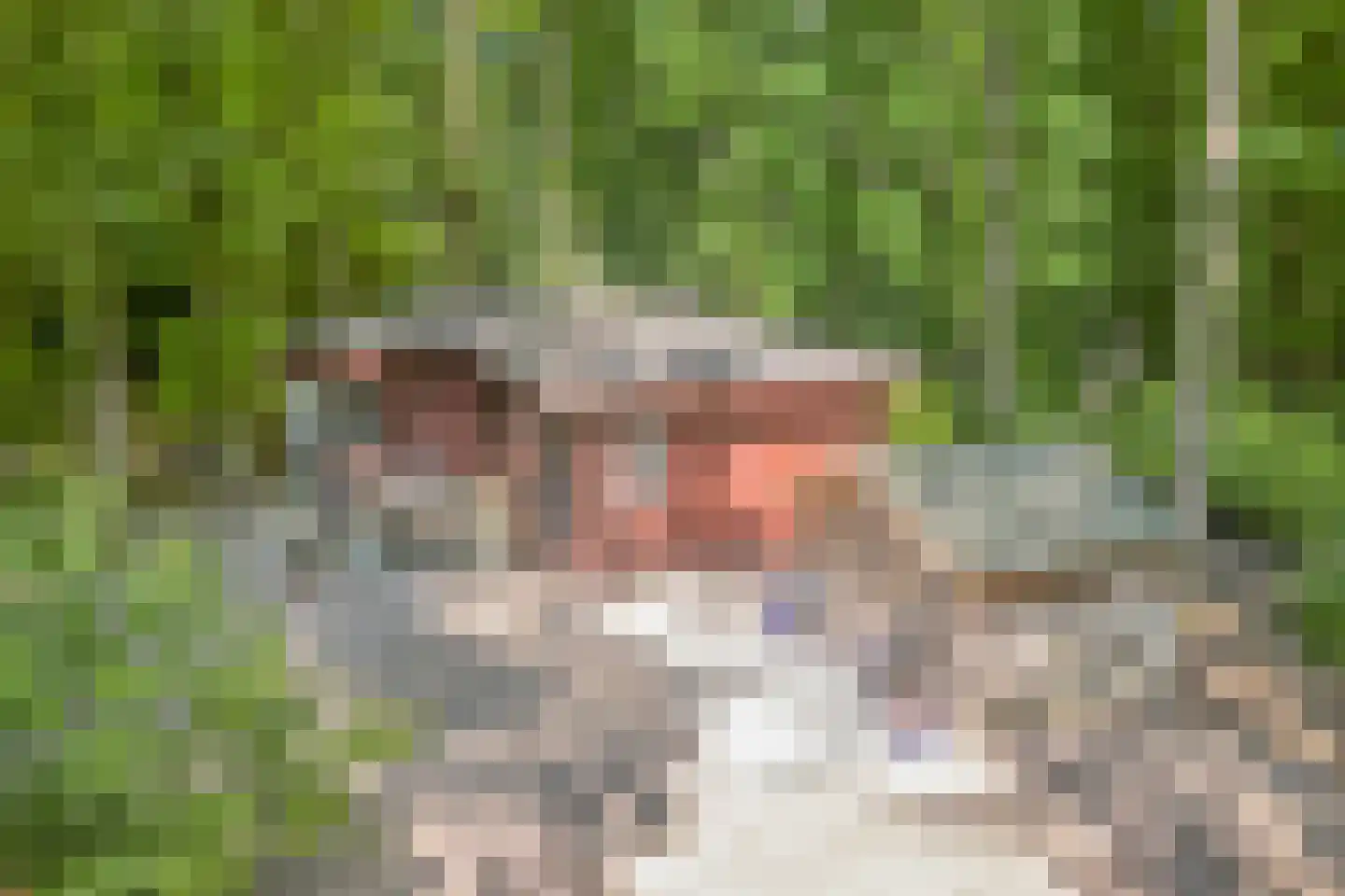 Heinoseweg 33 Dalfsen thumbnail 24