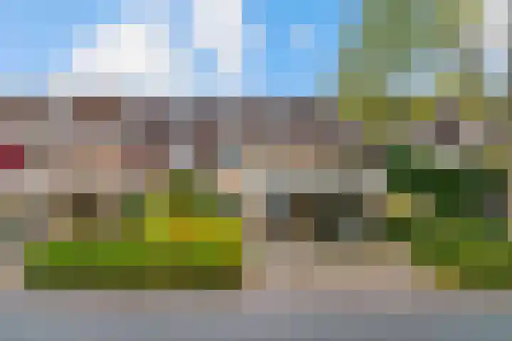 Heinsiuslaan 10 Leiderdorp