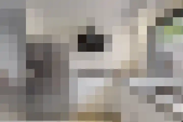 Heinsiuslaan 10 Leiderdorp thumbnail 12