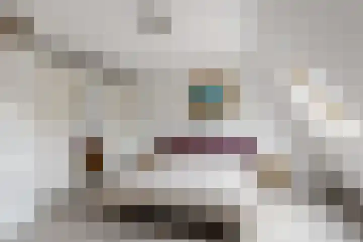 Heinsiuslaan 10 Leiderdorp thumbnail 17