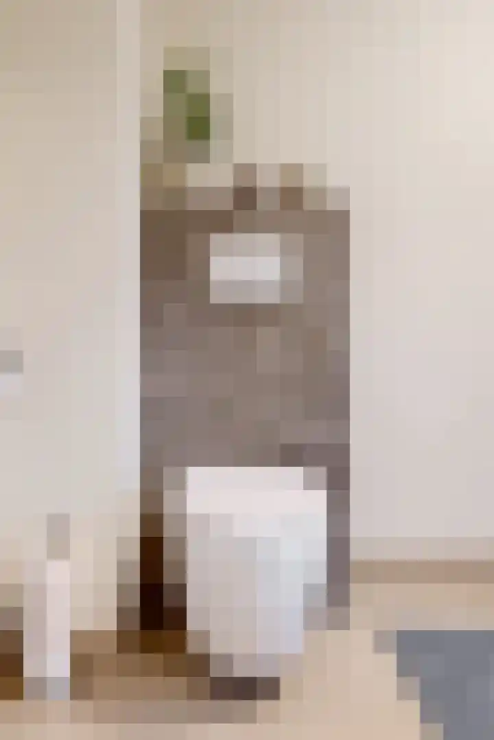 Heinsiuslaan 10 Leiderdorp thumbnail 23