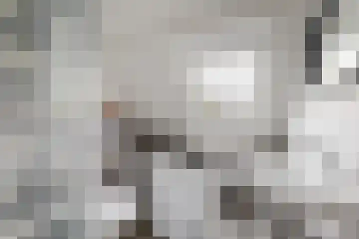 Heinsiuslaan 10 Leiderdorp thumbnail 31