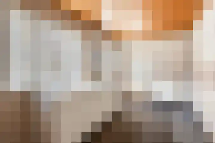 Heirstraat 23 Elsloo thumbnail 10