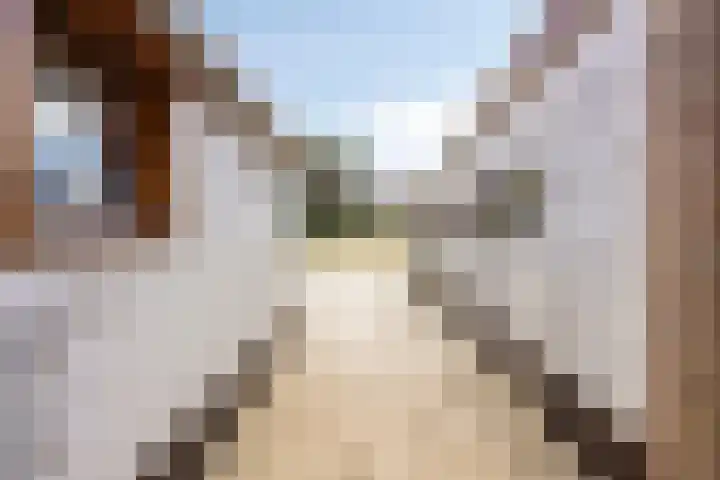 Heirstraat 23 Elsloo thumbnail 15