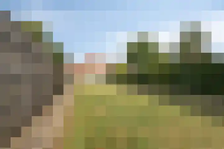 Heirstraat 23 Elsloo thumbnail 18