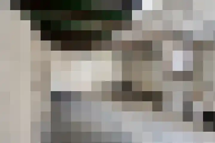 Heirstraat 23 Elsloo thumbnail 29