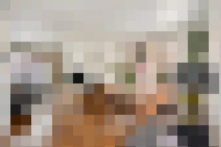 Heirstraat 4 Elsloo thumbnail 16