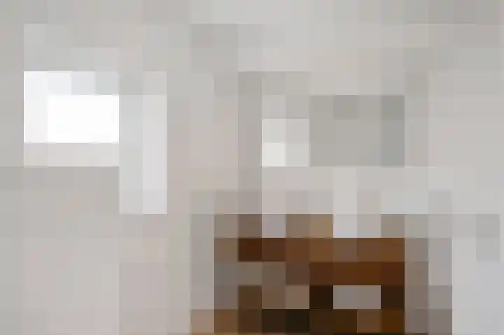 Heirstraat 4 Elsloo thumbnail 38