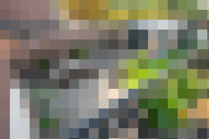 Heirstraat 4 Elsloo thumbnail 48