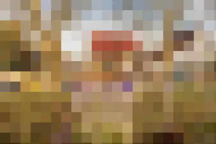 Heirstraat 48 Elsloo thumbnail 10