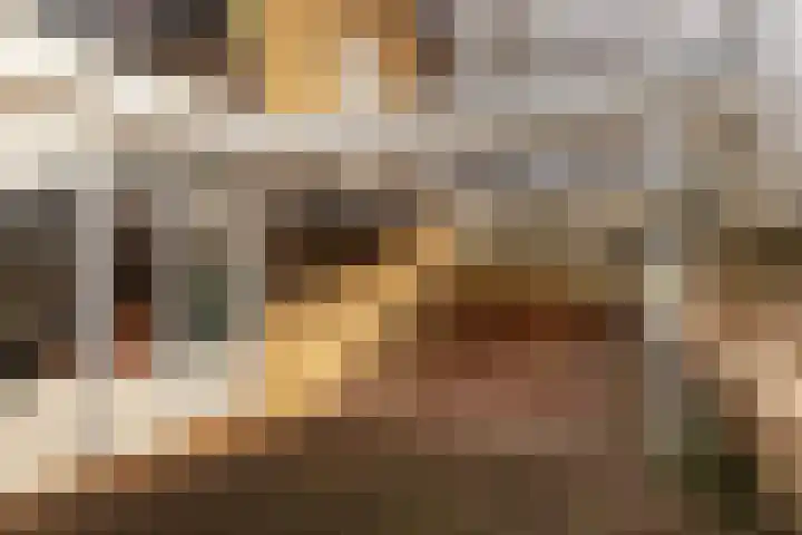 Heirstraat 48 Elsloo thumbnail 38