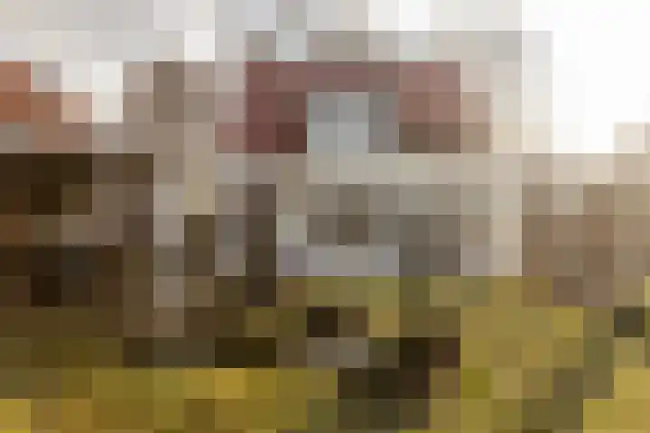 Heirstraat 48 Elsloo thumbnail 40