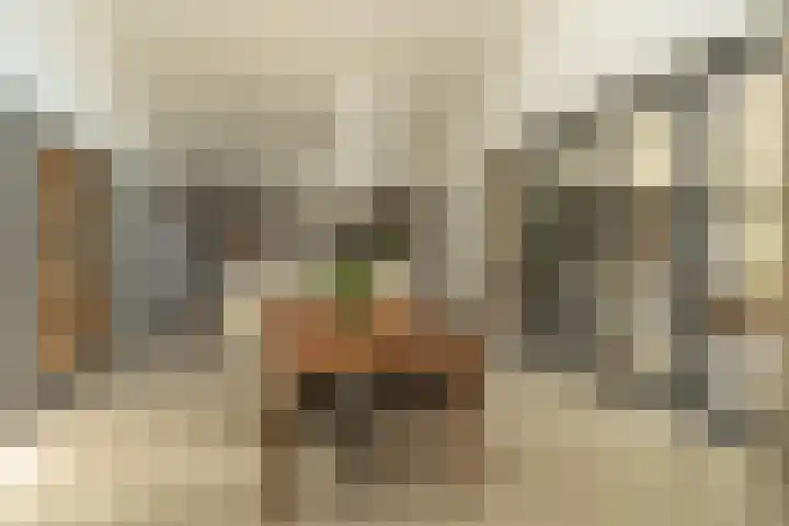 Heirust 1 Rosmalen thumbnail 11