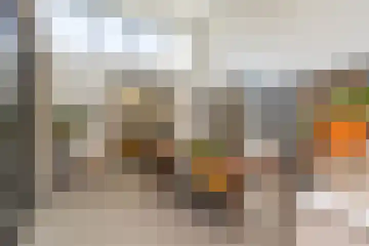 Heirust 1 Rosmalen thumbnail 22