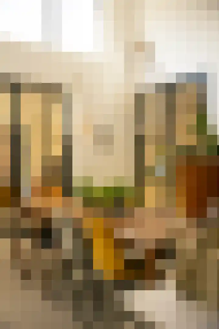 Heirust 1 Rosmalen thumbnail 23