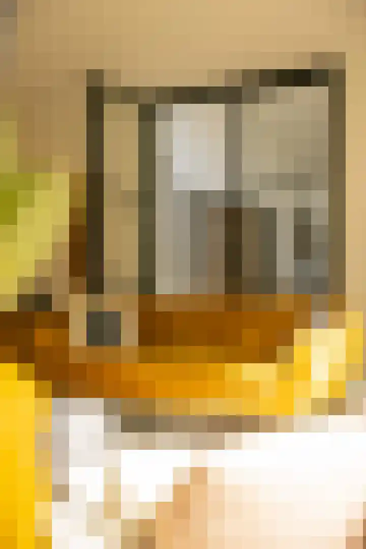 Heirust 1 Rosmalen thumbnail 26