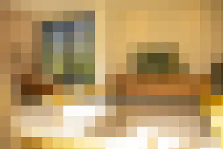 Heirust 1 Rosmalen thumbnail 31
