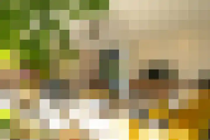 Heirust 1 Rosmalen thumbnail 32