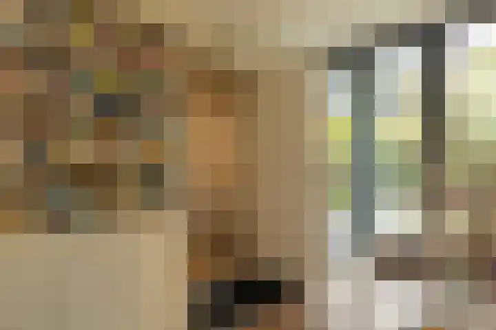 Heirust 1 Rosmalen thumbnail 38
