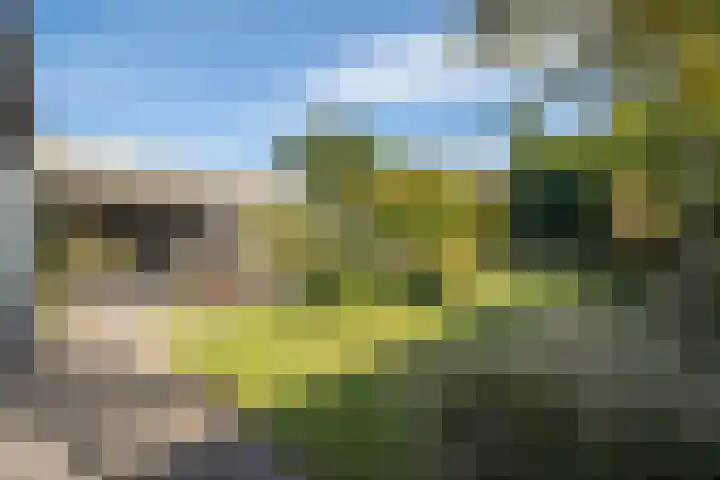 Heirust 1 Rosmalen thumbnail 64
