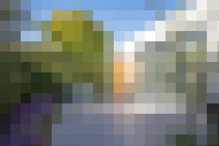 Heirust 1 Rosmalen thumbnail 65