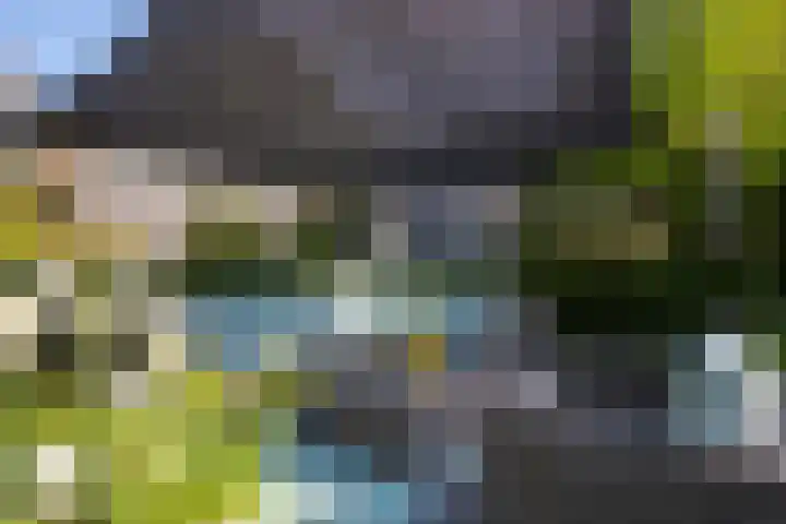 Heirust 1 Rosmalen thumbnail 67