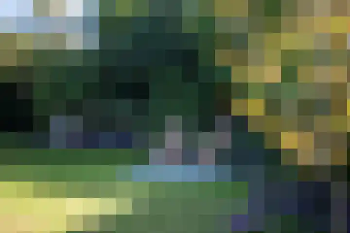 Heirust 1 Rosmalen thumbnail 70
