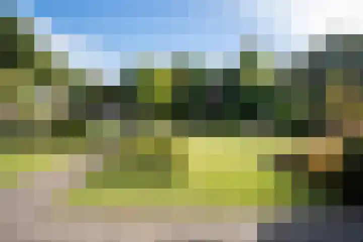Heirust 1 Rosmalen thumbnail 75