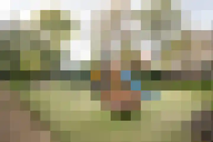 Heirust 1 Rosmalen thumbnail 76