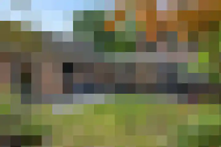 Heirust 6 Rosmalen thumbnail 22