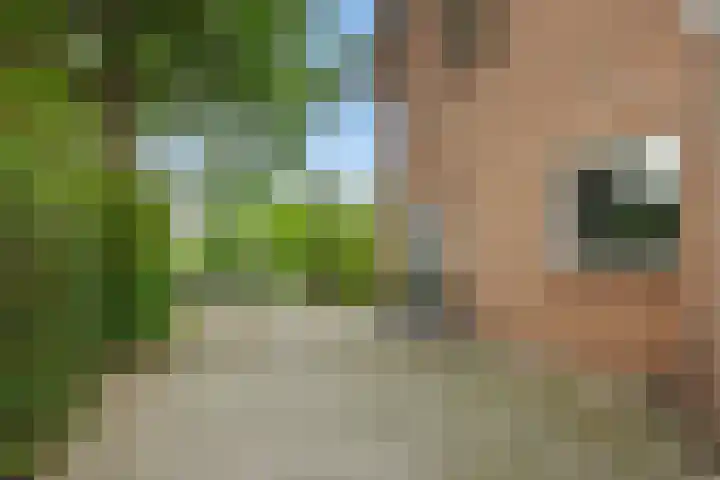Heirust 6 Rosmalen thumbnail 24