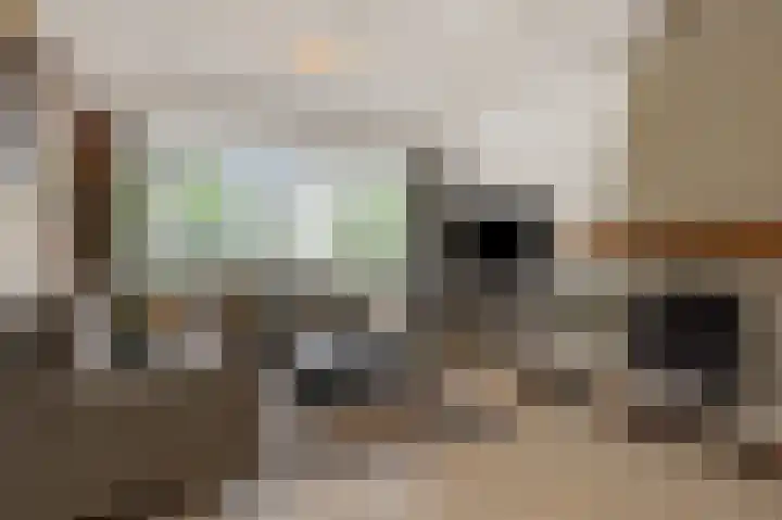 Heirust 6 Rosmalen thumbnail 5